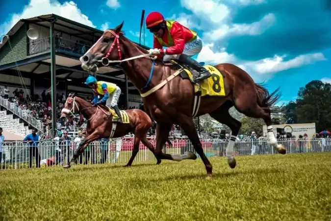 Apuestas a carreras de caballos